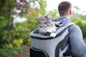 The Business Of Kitty Backpack